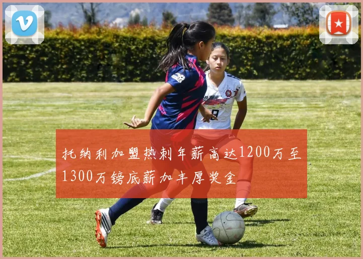 托纳利加盟热刺年薪高达1200万至1300万镑底薪加丰厚奖金