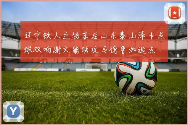 辽宁铁人主场落后山东泰山泽卡点球双响谢文能助攻马德鲁加造点