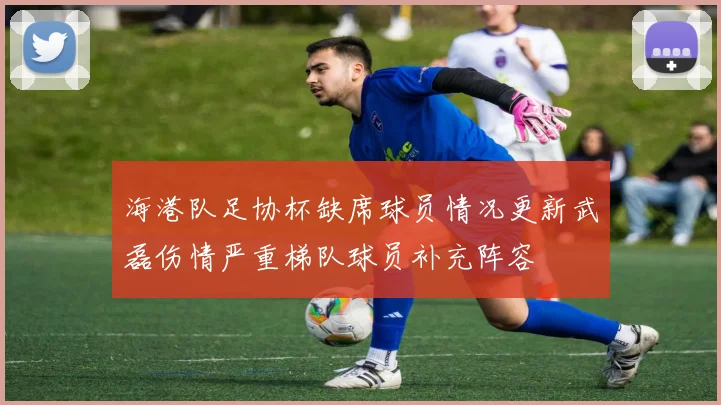 海港队足协杯缺席球员情况更新武磊伤情严重梯队球员补充阵容